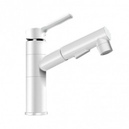 Pull Out Basin Mixer Tap...