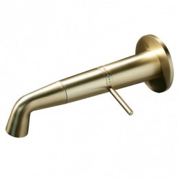 Brushed Gold Concealed...
