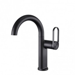 Curved Spout Black Low...