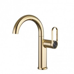 Curved Spout Polished Gold...