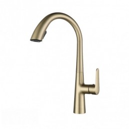 Brushed Gold Pull-Out...