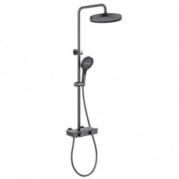 Three-Function Large Shower...