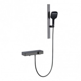 Showerhead with Riser Rail...