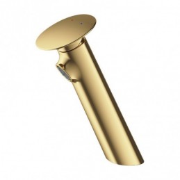 Hao Gold Home Countertop...