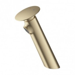 Brushed Gold Home...