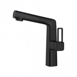 Matte Black Solid Brass...