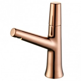 Rose Gold Minimalist...