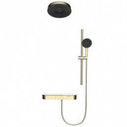 Thermostatic with Riser...