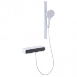 With Adjustable Shower Bar...