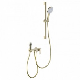 Brushed Gold Style C Shower...