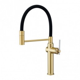 Brushed Gold 360° Swivel...