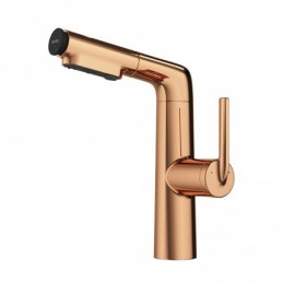 Rose Gold Multifunctional...