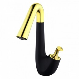Titanium Gold + Black...