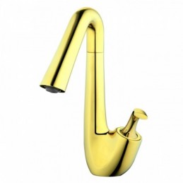 Titanium Gold Nordic...